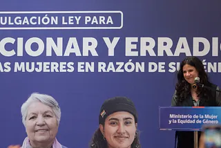 El rol del estado en los casos de Femicidio en Chile